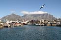 CapeTown (48)